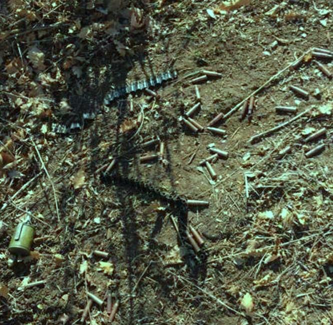 photo 20200302145814