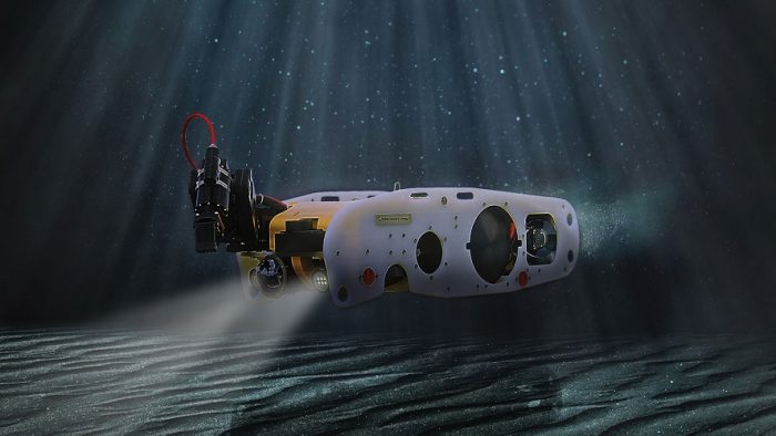sea wasp 2020 e1586964462625