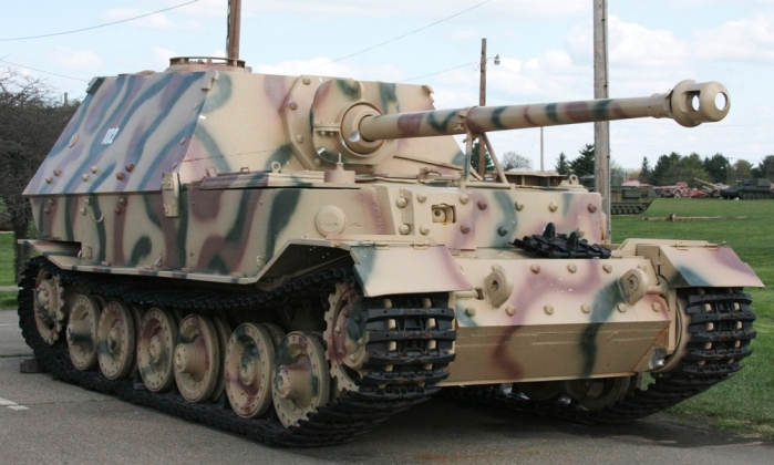Elefant USAOM 01