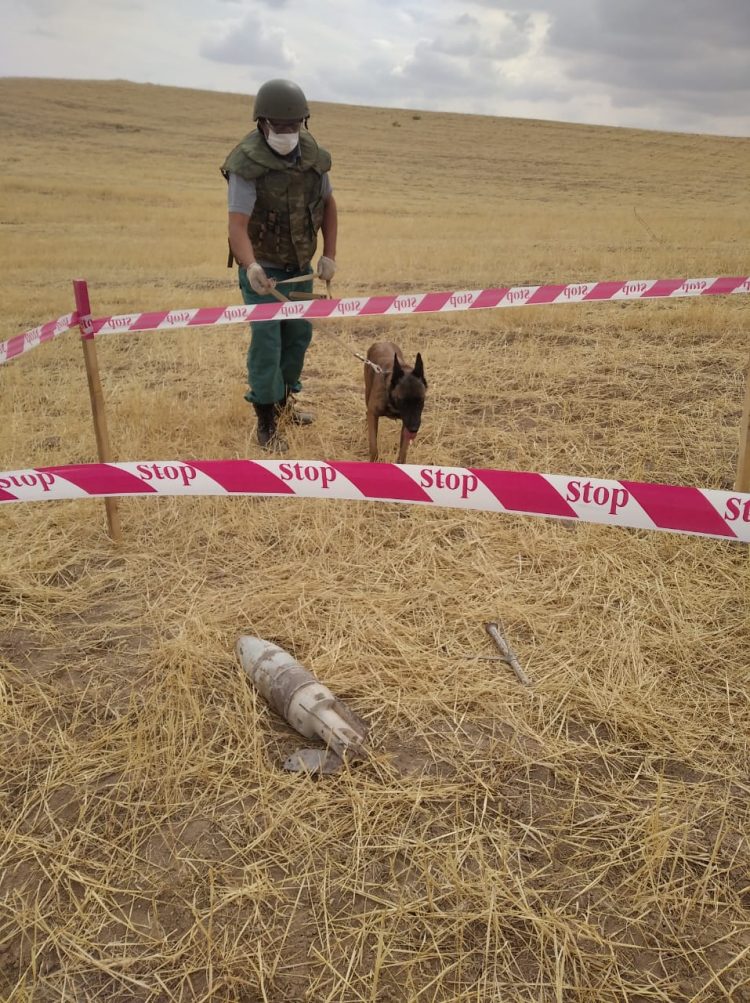 14.08.2020 Füzuli rayonu Şükürbəyli kəndi 9 e1597423179586