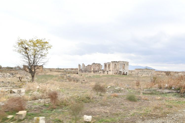 1606153491776 YeFEdruU