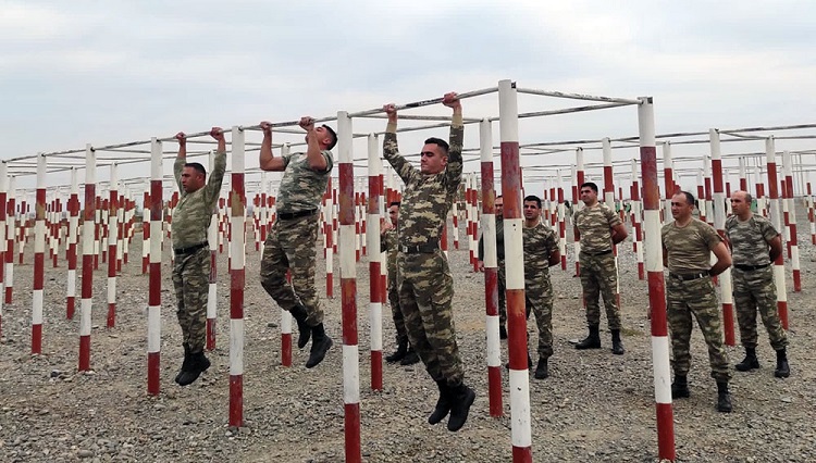 yaris5