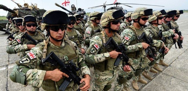 REGİONAL FOKUS: Gürcüstan Ordusunun modernləşmə perspektivləri