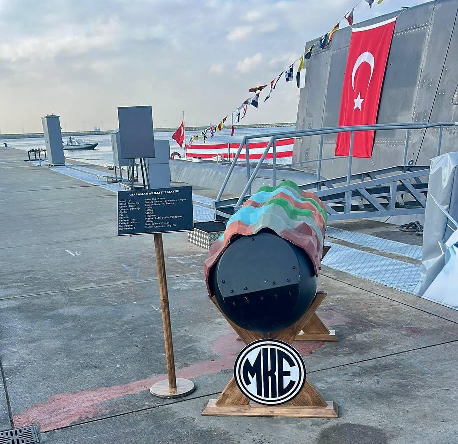 MALAMAN AKILLI DIP MAYINI