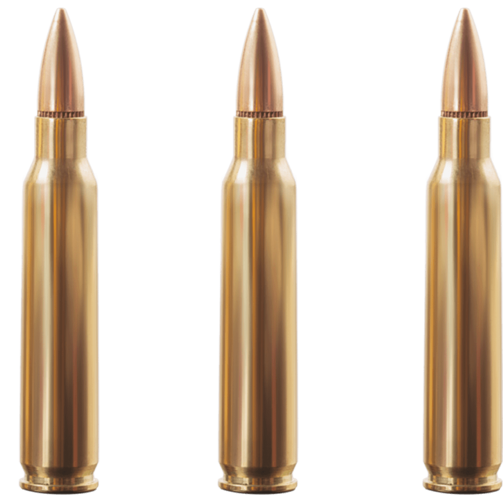 5.56 mm fisek